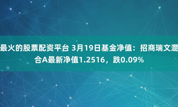 最火的股票配资平台 3月19日基金净值：招商瑞文混合A最新净值1.2516，跌0.09%