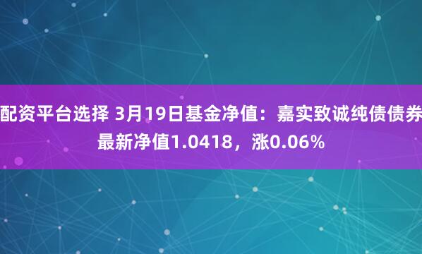 配资平台选择 3月19日基金净值：嘉实致诚纯债债券最新净值1.0418，涨0.06%