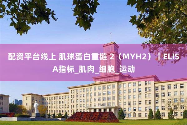 配资平台线上 肌球蛋白重链 2（MYH2）｜ELISA指标_肌肉_细胞_运动