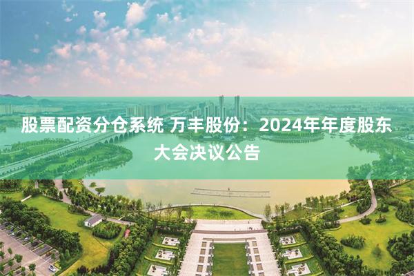 股票配资分仓系统 万丰股份：2024年年度股东大会决议公告