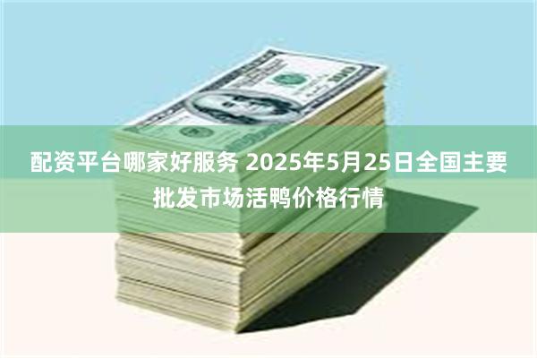 配资平台哪家好服务 2025年5月25日全国主要批发市场活鸭价格行情