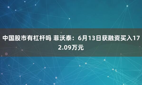 中国股市有杠杆吗 菲沃泰：6月13日获融资买入172.09万元