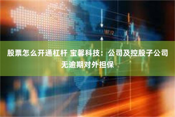 股票怎么开通杠杆 宝馨科技：公司及控股子公司无逾期对外担保