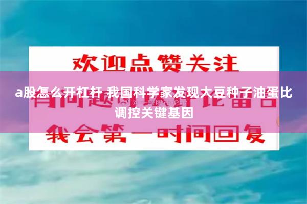 a股怎么开杠杆 我国科学家发现大豆种子油蛋比调控关键基因